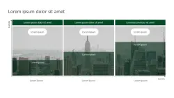 Presentation sample 15